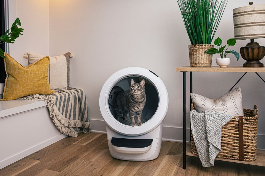 Litter-Robot Review | Bunch Of Websites