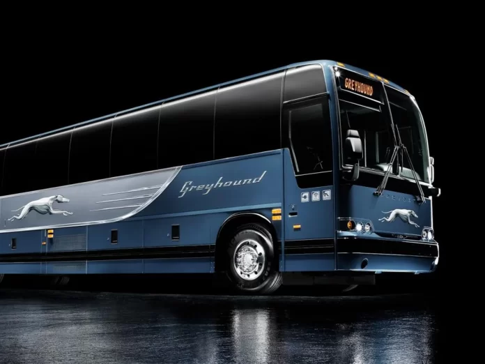 greyhound-bus